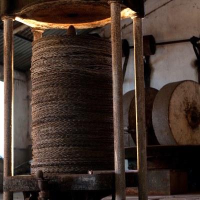Old olive oil press